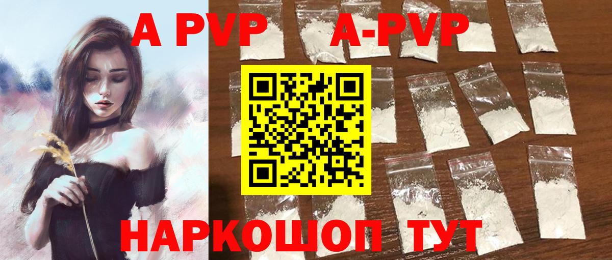 A PVP СК КРИС Славгород