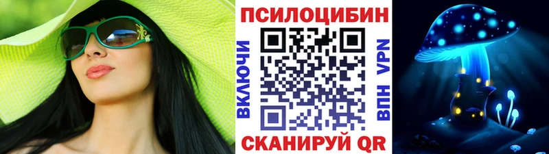 Галлюциногенные грибы Psilocybe  Славгород 