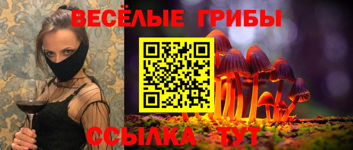 Псилоцибиновые грибы Magic Shrooms  Вход с VPN  Славгород 