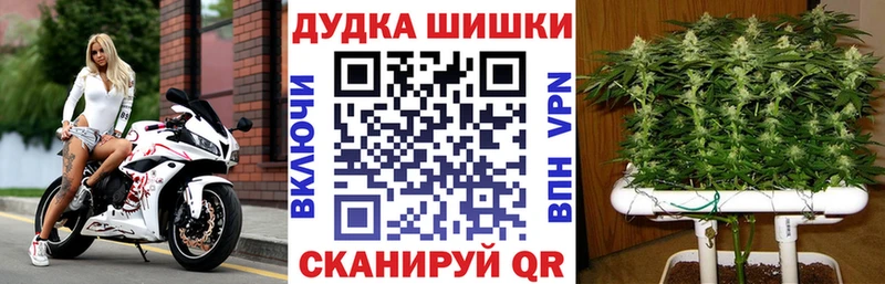 где купить наркотик  Славгород  Каннабис планчик 